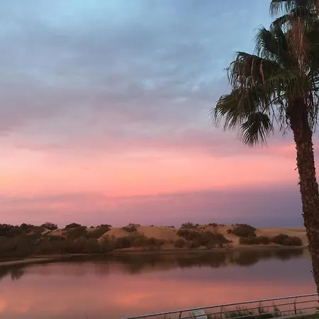 Lejlighed Oasis
