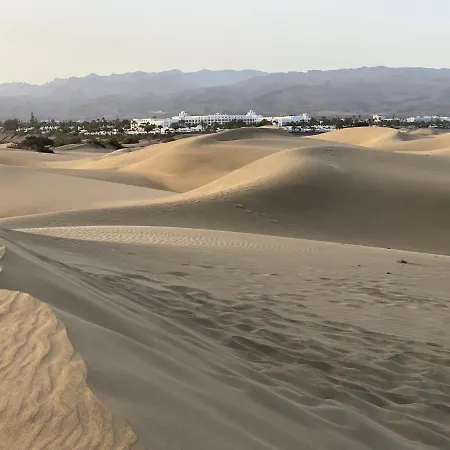 Oasis Lejlighed