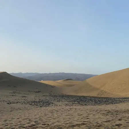 Oasis Lejlighed